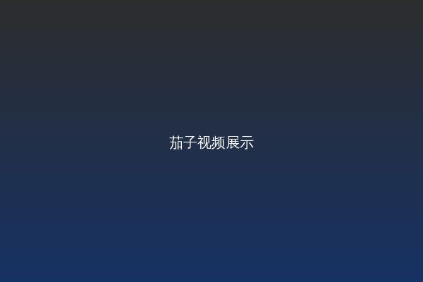 茄子视频改装视频